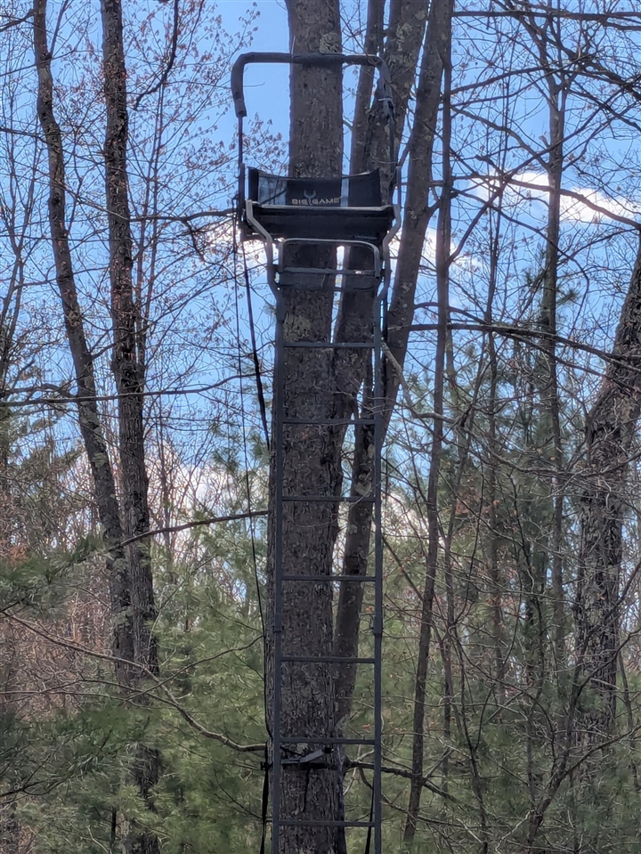 20179 Coates Highway Property Photo 32