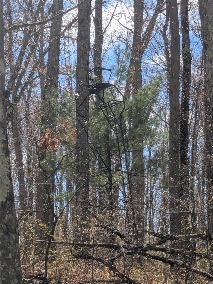 20179 Coates Highway Property Photo 34