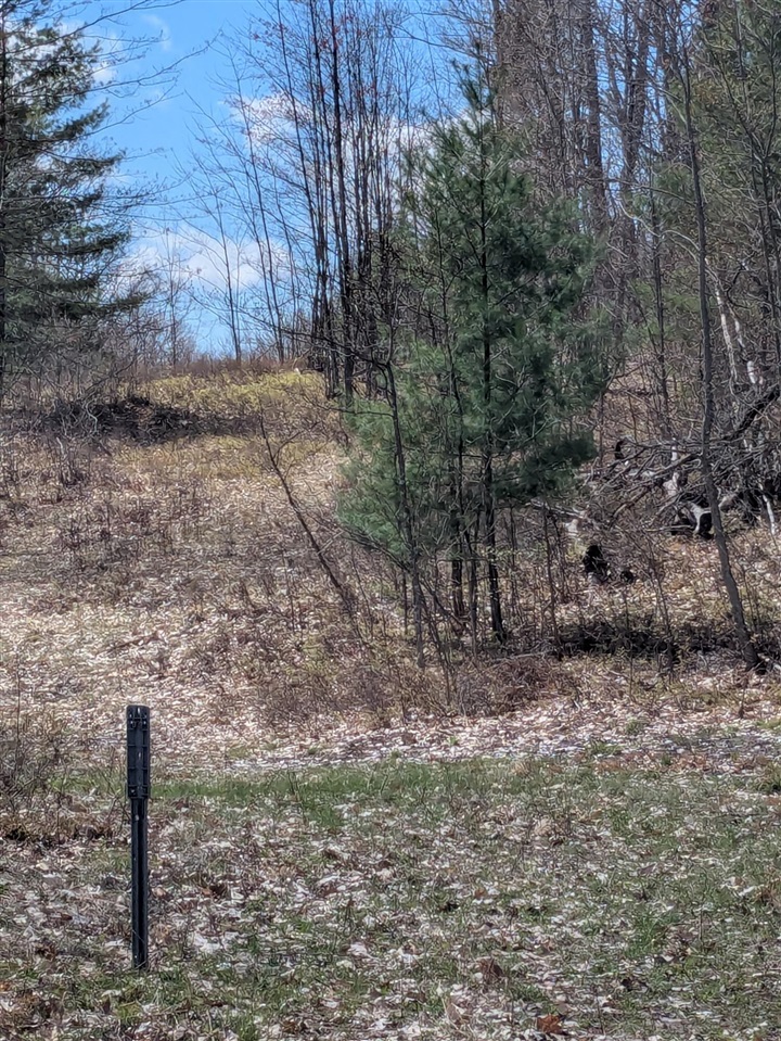 20179 Coates Highway Property Photo 42