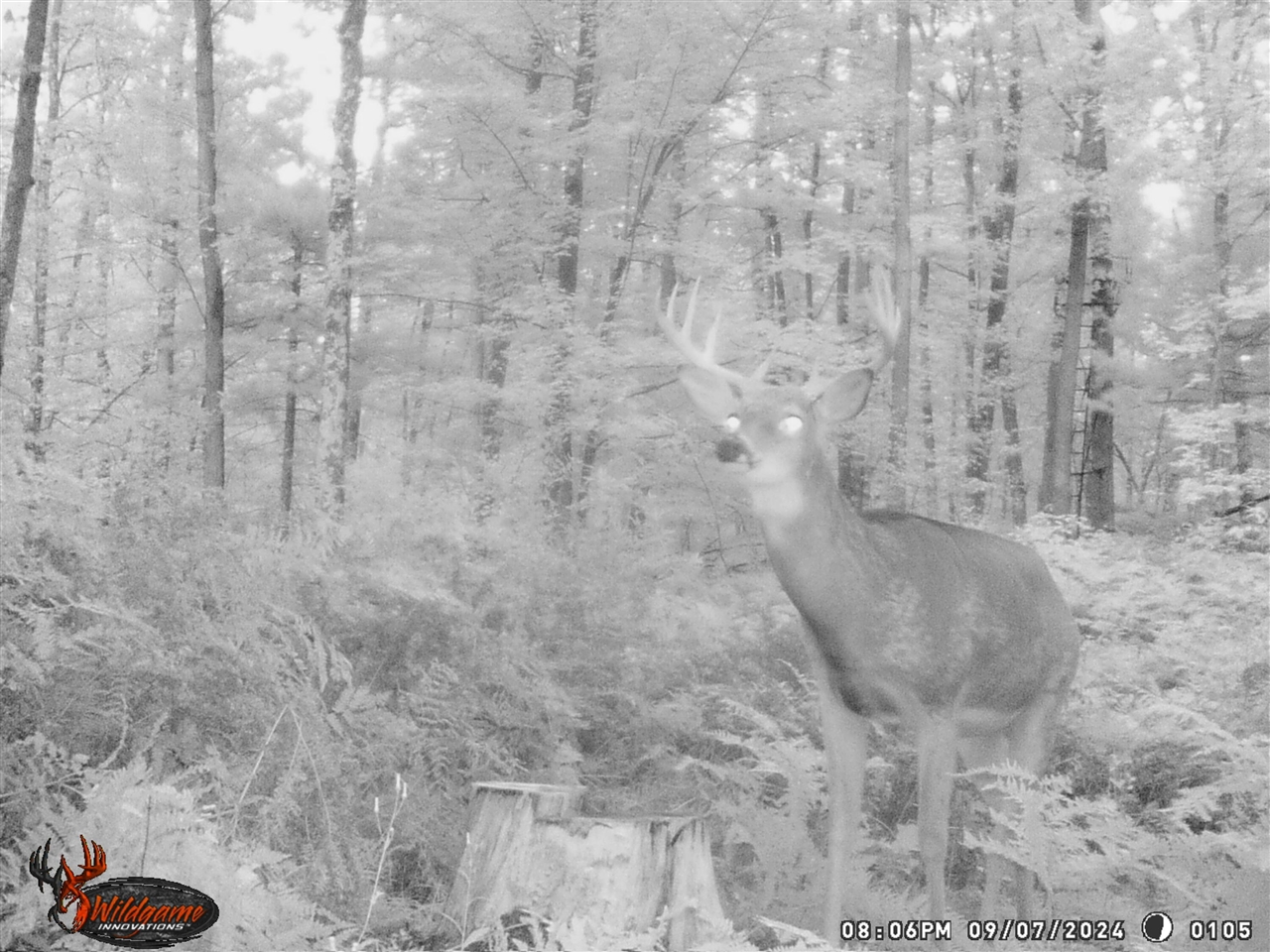 20179 Coates Highway Property Photo 44