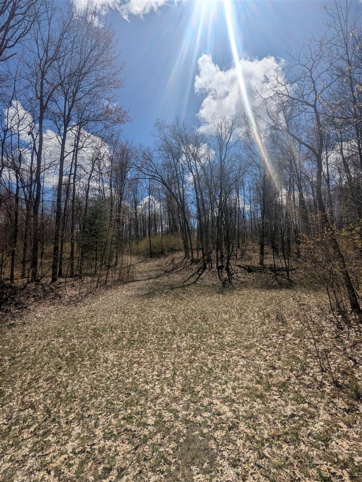 20179 Coates Highway Property Photo 45