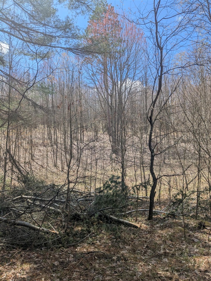 20179 Coates Highway Property Photo 47