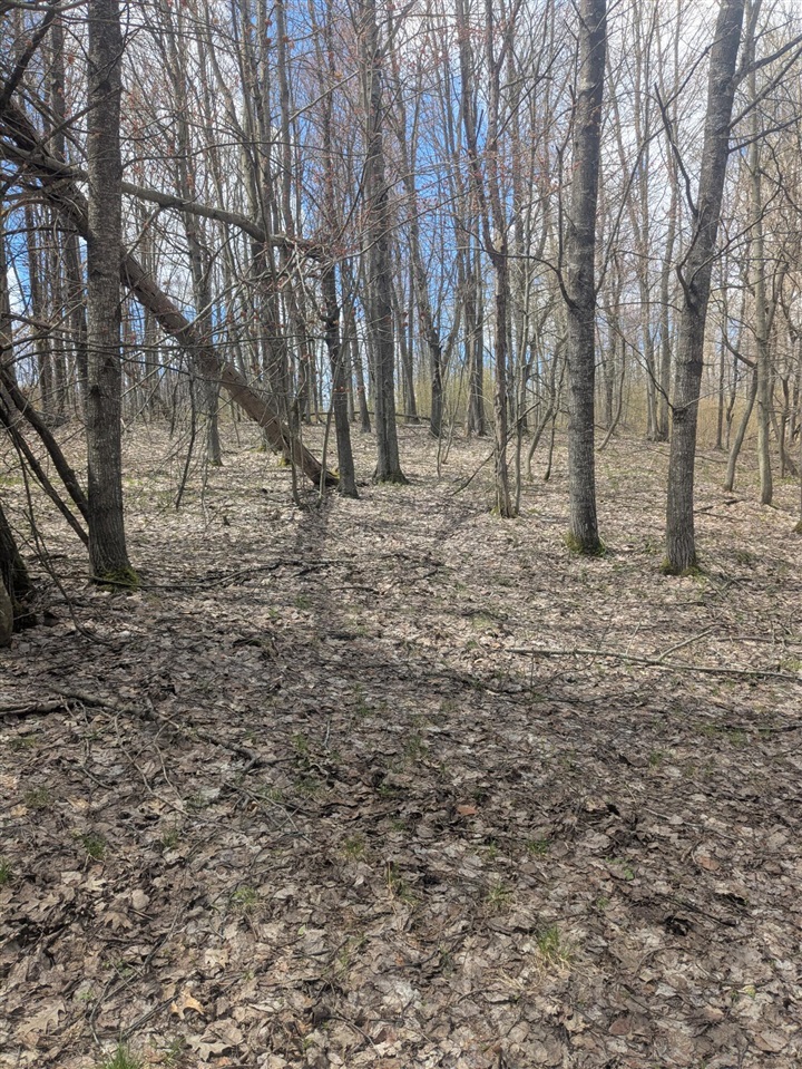 20179 Coates Highway Property Photo 48