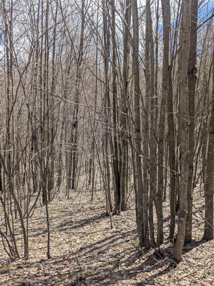 20179 Coates Highway Property Photo 50