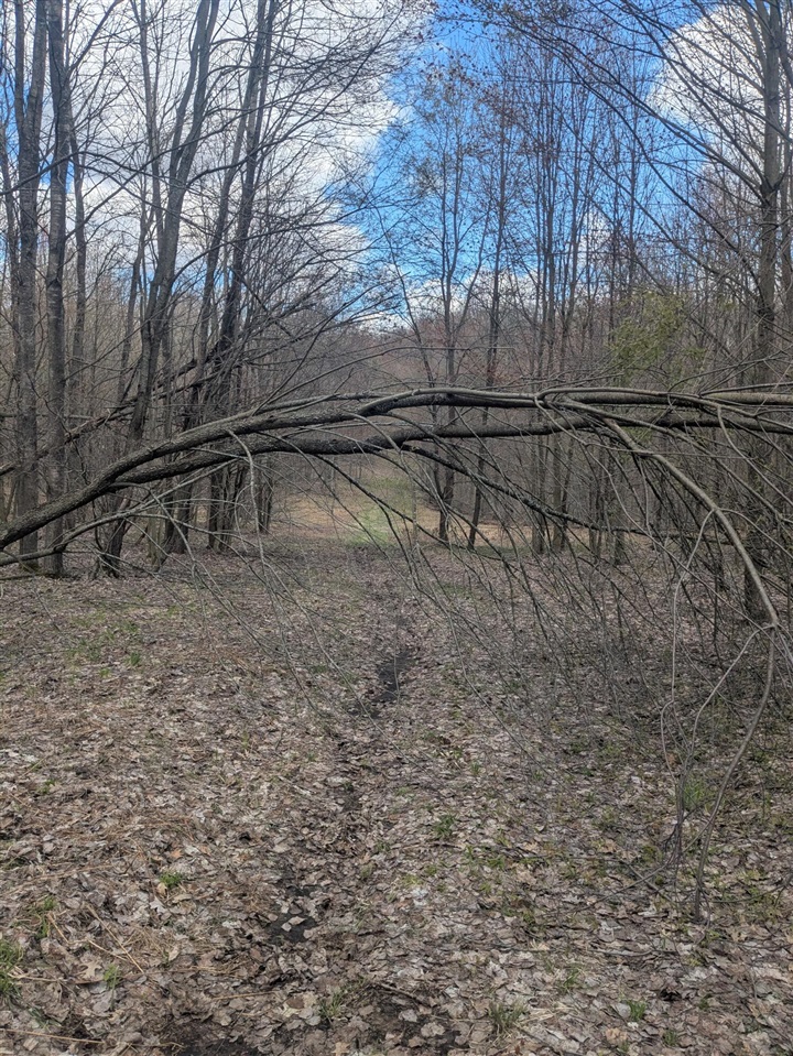 20179 Coates Highway Property Photo 52