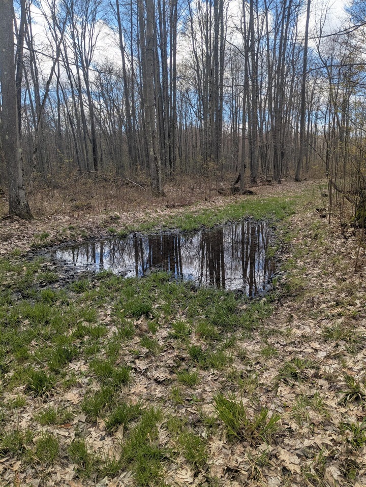 20179 Coates Highway Property Photo 53
