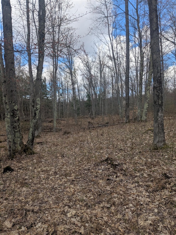 20179 Coates Highway Property Photo 54