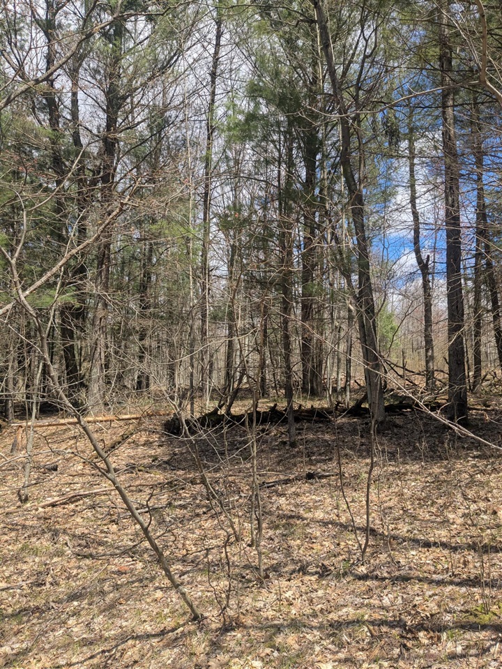20179 Coates Highway Property Photo 56