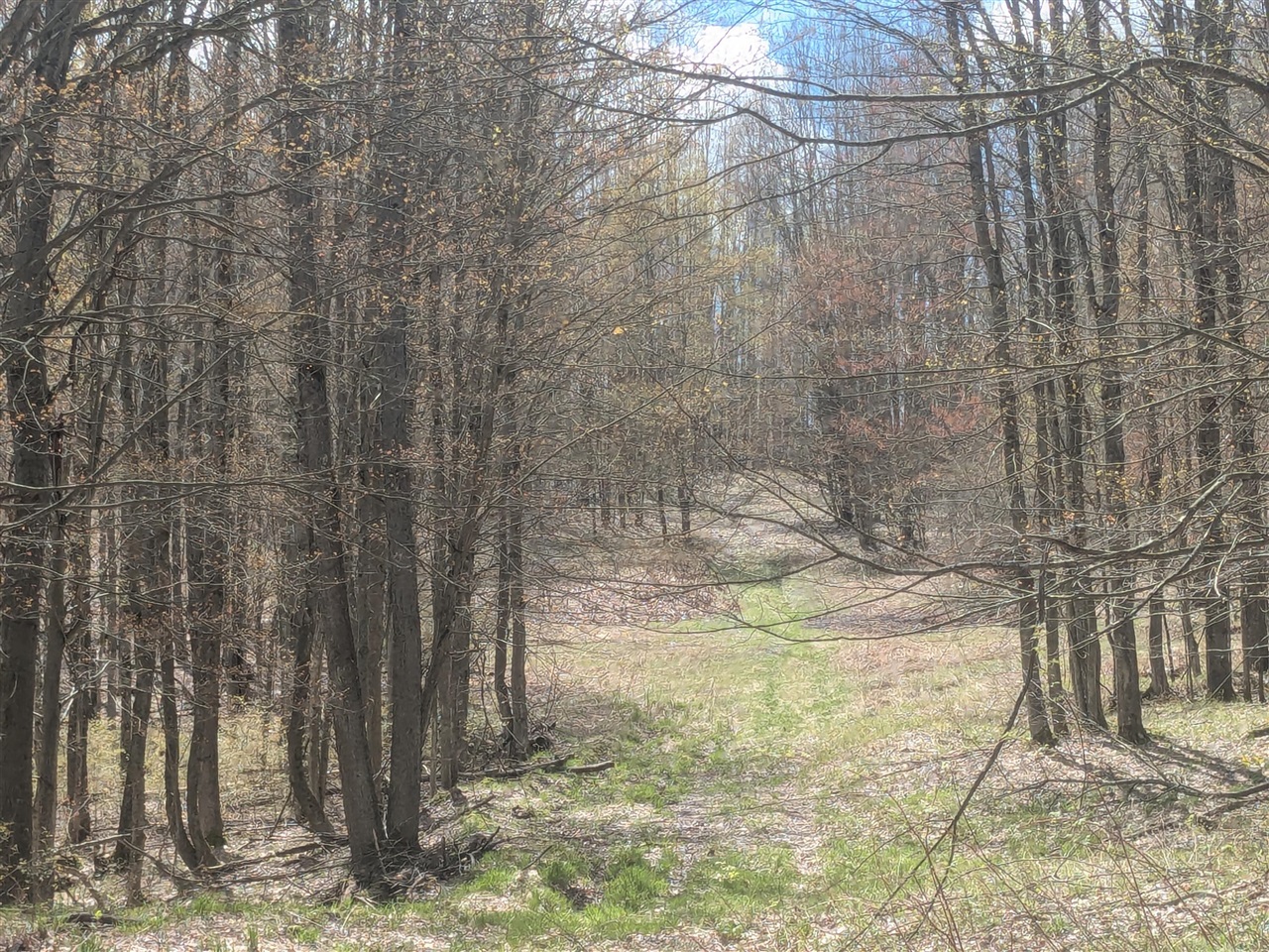 20179 N Coates Highway Property Photo 1