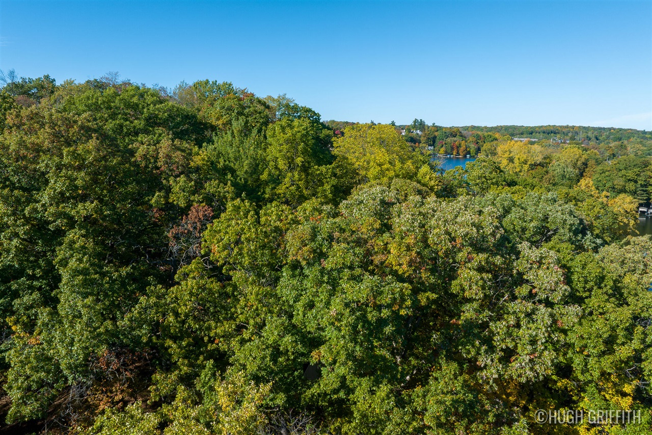 6811 Burger Drive Property Photo 35