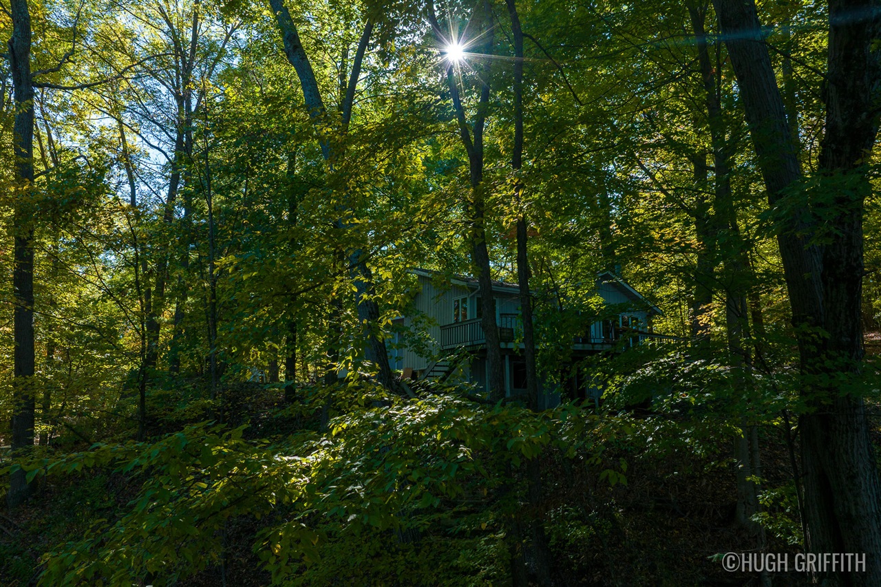 6811 Burger Drive Property Photo 46