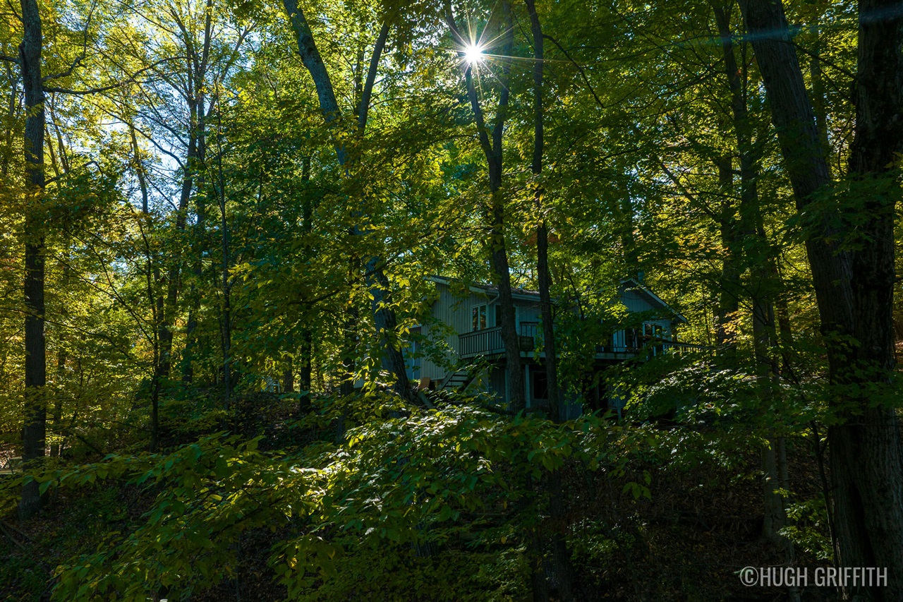 6811 Burger Drive Property Photo 47
