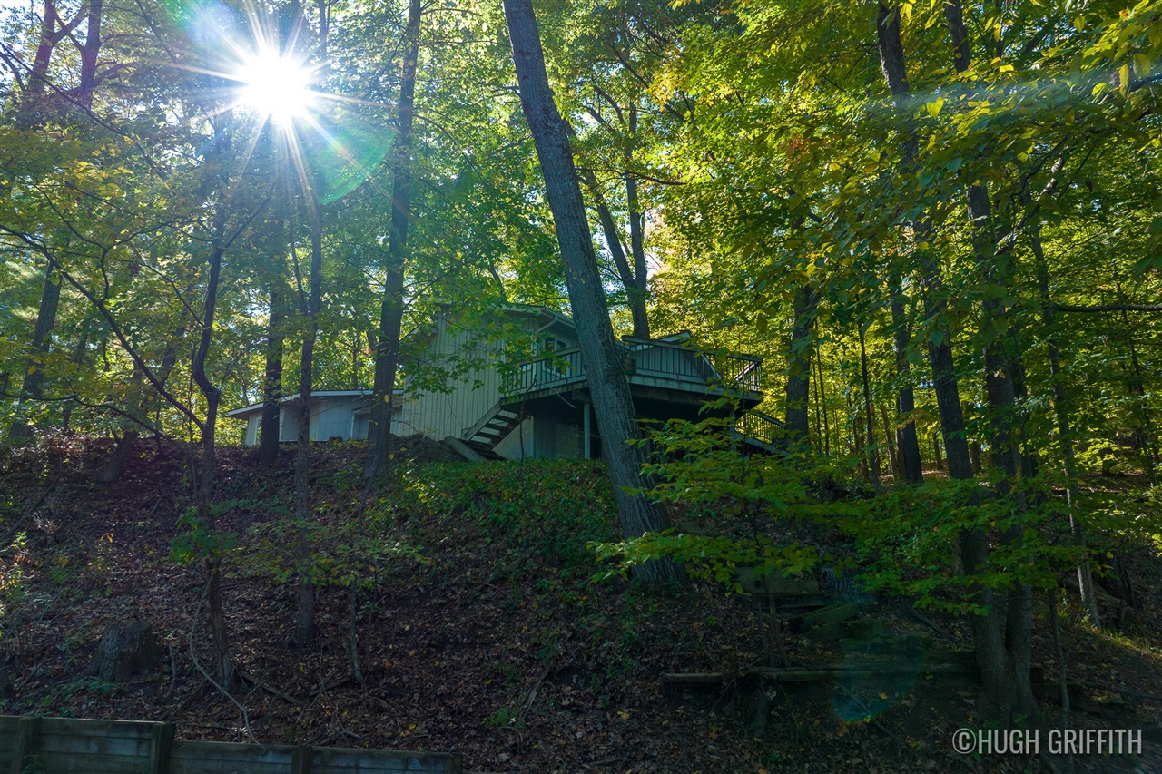 6811 Burger Drive Property Photo 78
