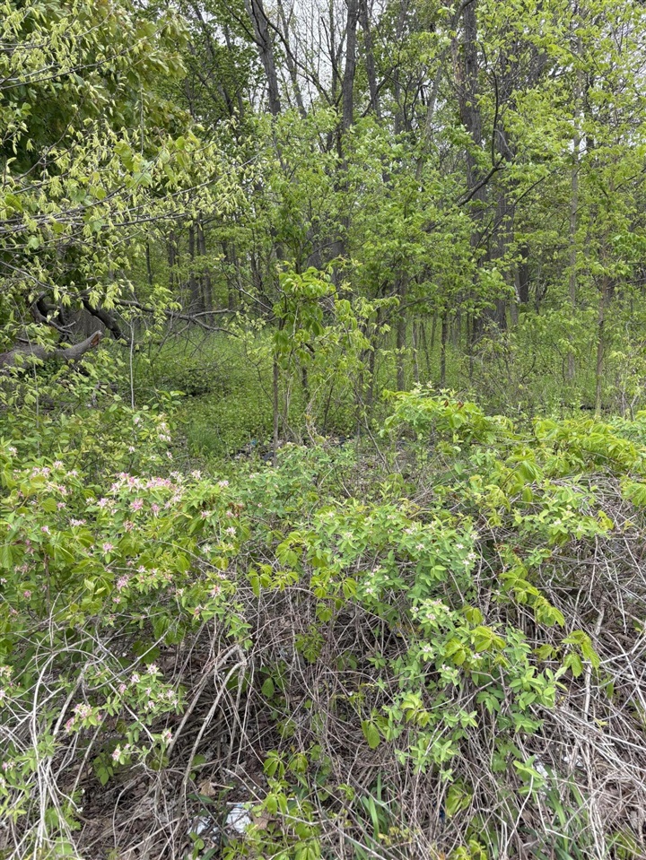 W Territorial Road Property Photo 4
