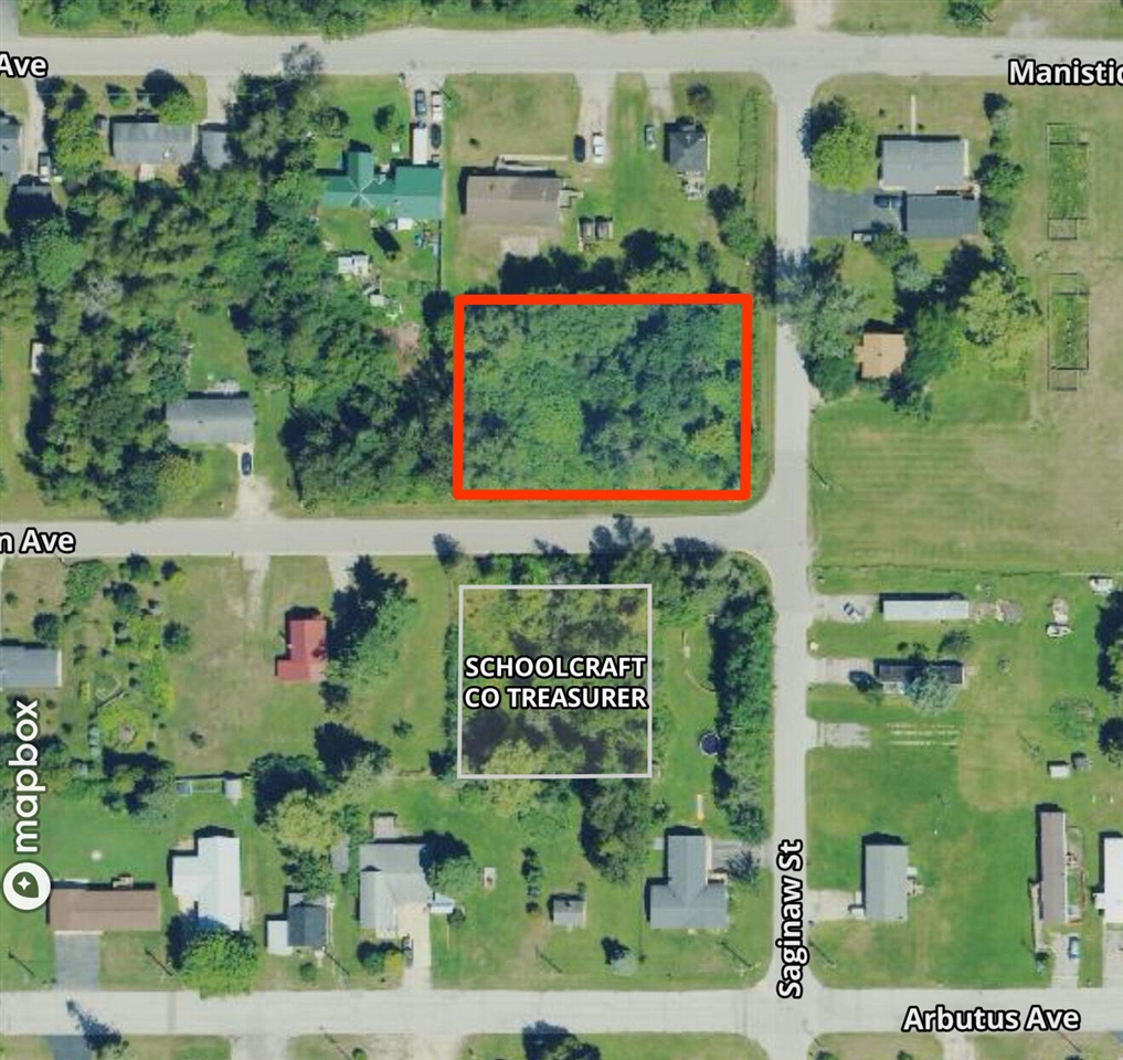 Parcel 1-3 Michigan Ave Property Photo 1