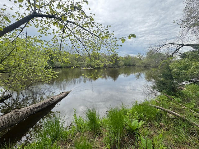 879 Flat River Court Property Photo 42