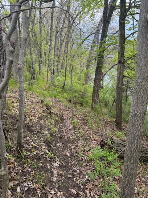 879 Flat River Court Property Photo 44