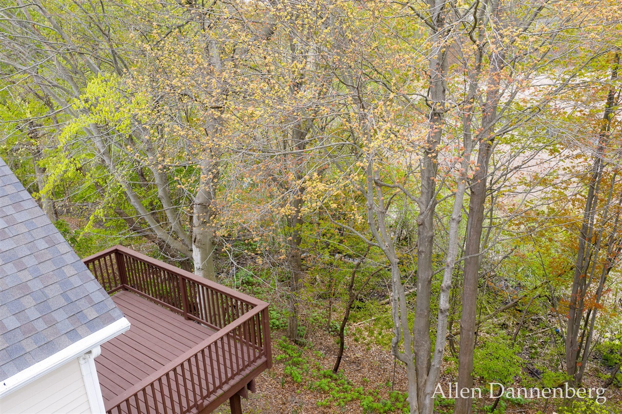845 Bluff Creek Drive Property Photo 41