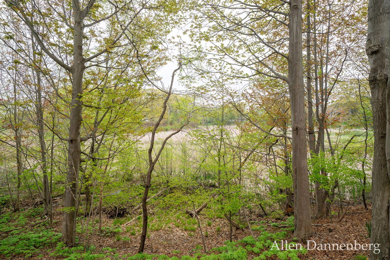 845 Bluff Creek Drive Property Photo 44