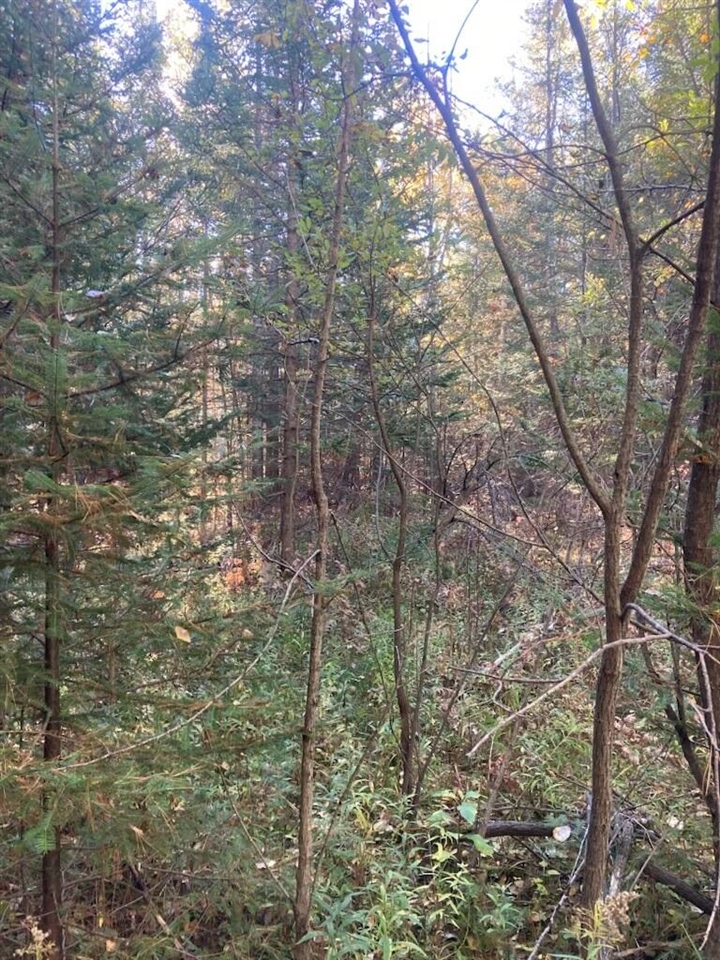 9165 Afton Road Property Photo 4
