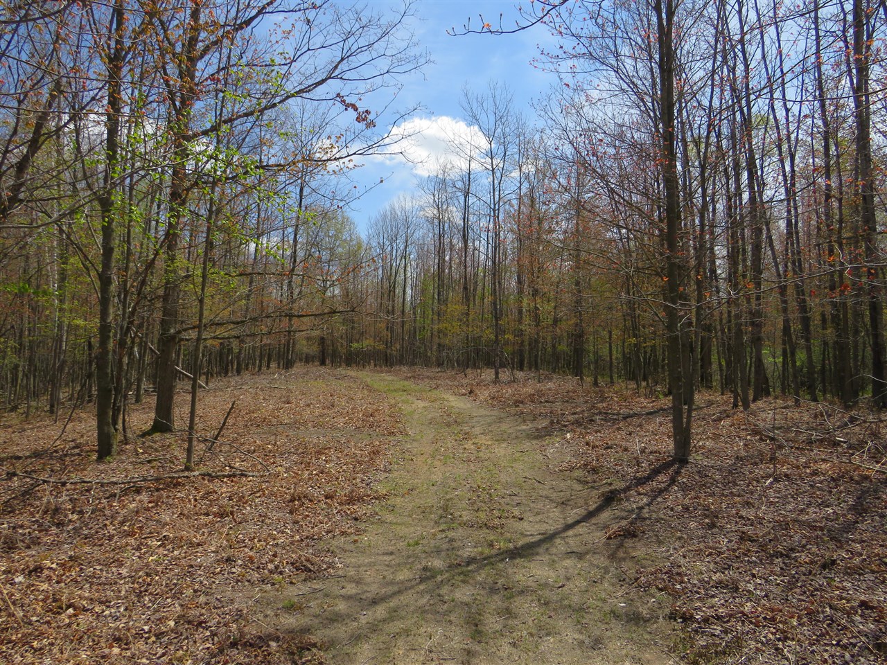 N Chippewa Road Property Photo 1