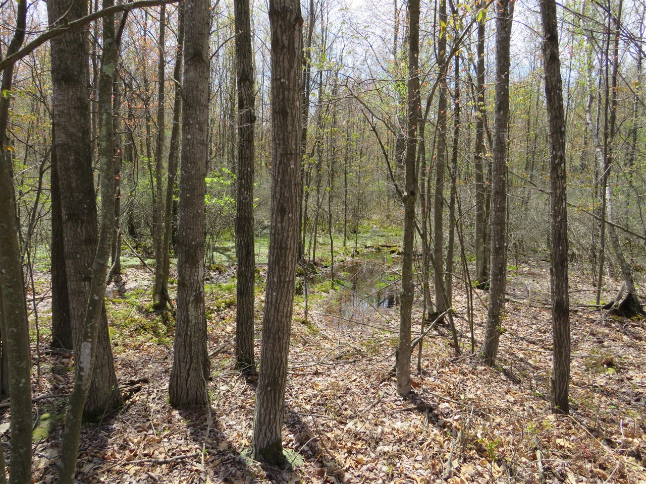 N Chippewa Road Property Photo 3