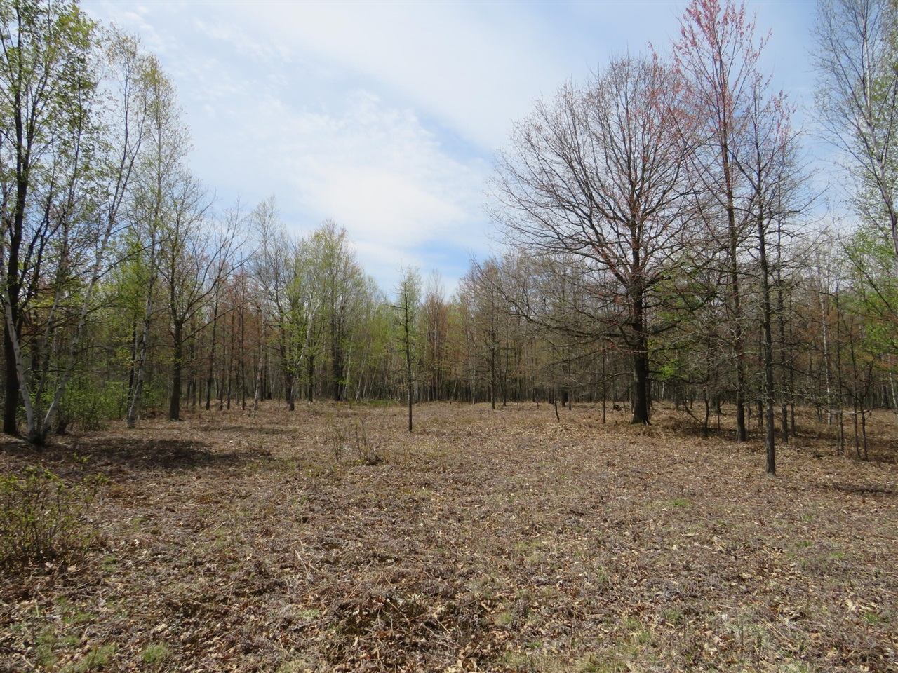 N Chippewa Road Property Photo 4
