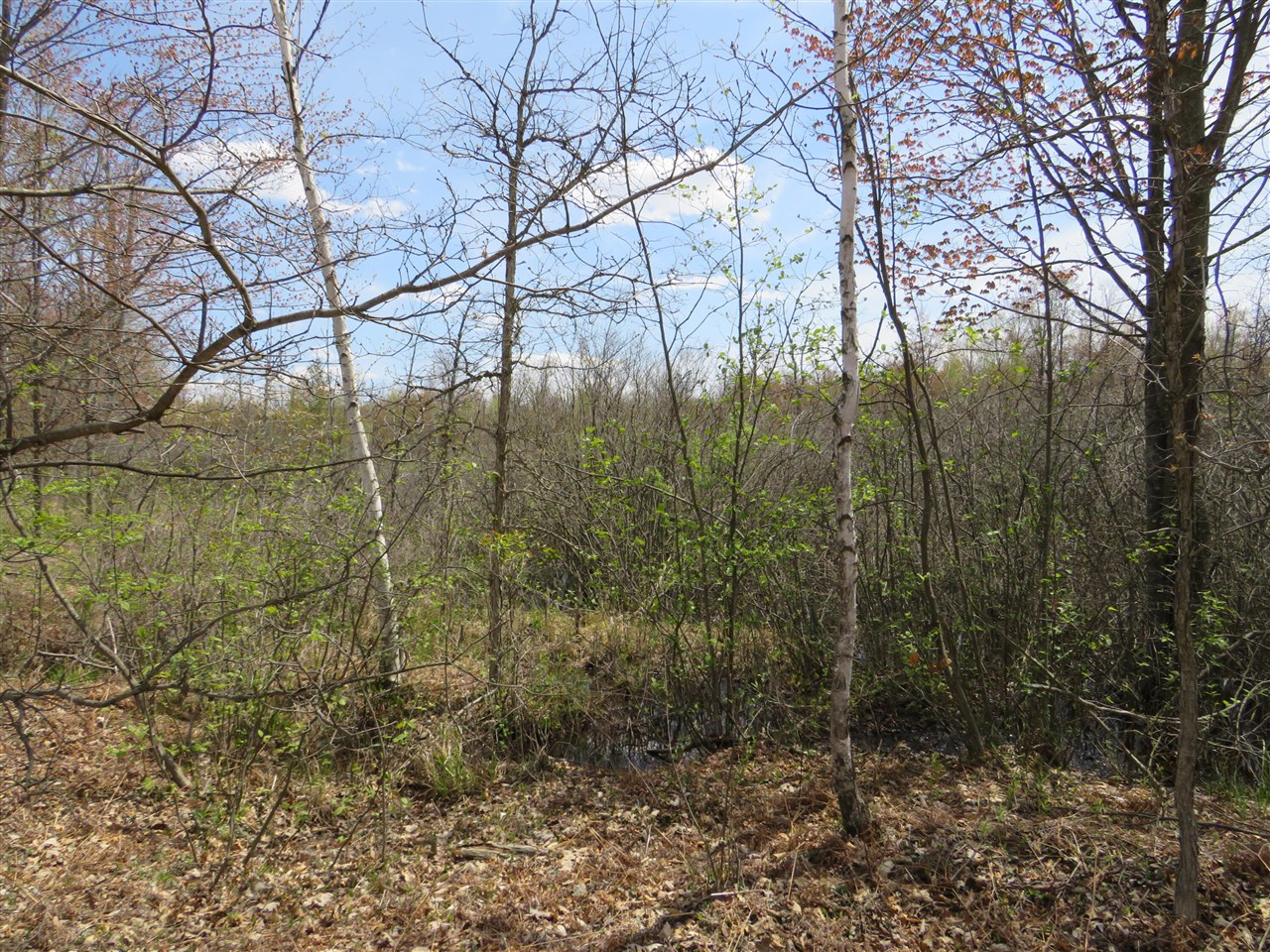 N Chippewa Road Property Photo 6