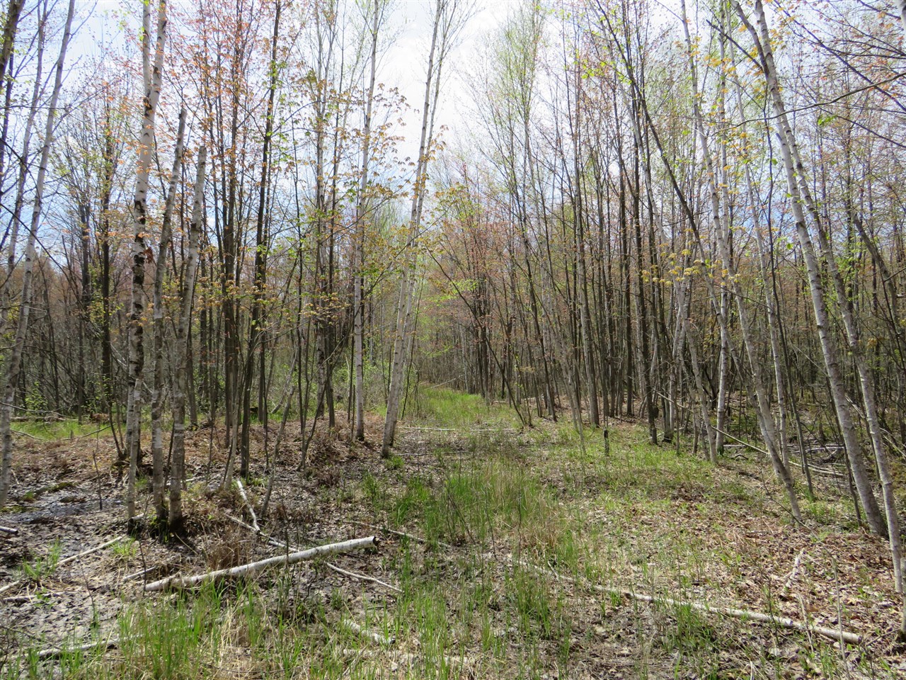 N Chippewa Road Property Photo 7