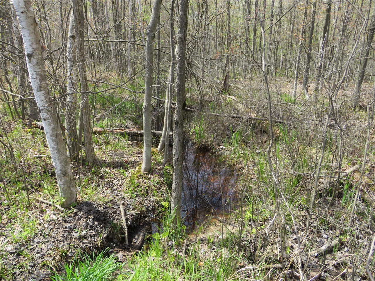 N Chippewa Road Property Photo 8