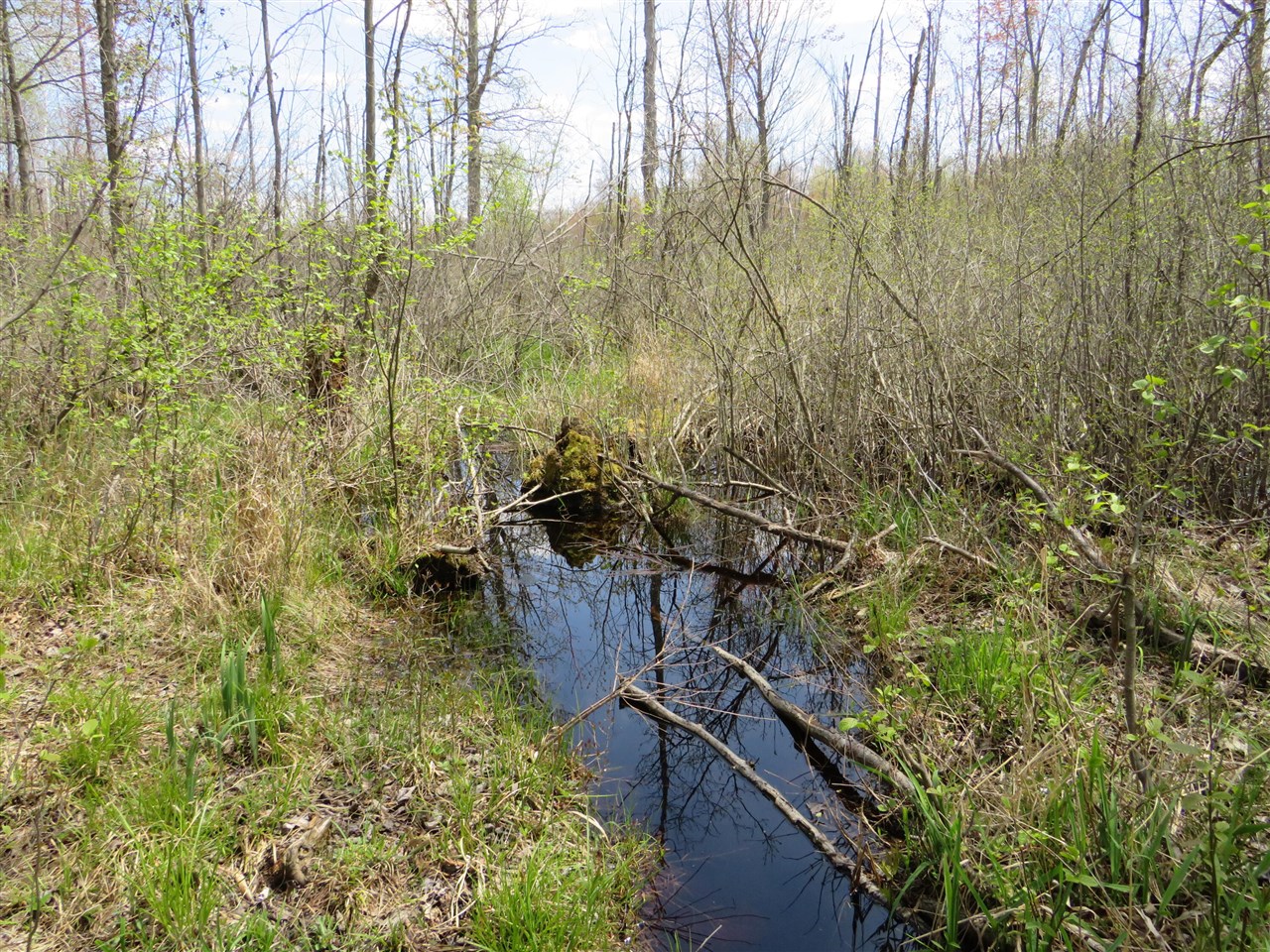 N Chippewa Road Property Photo 9