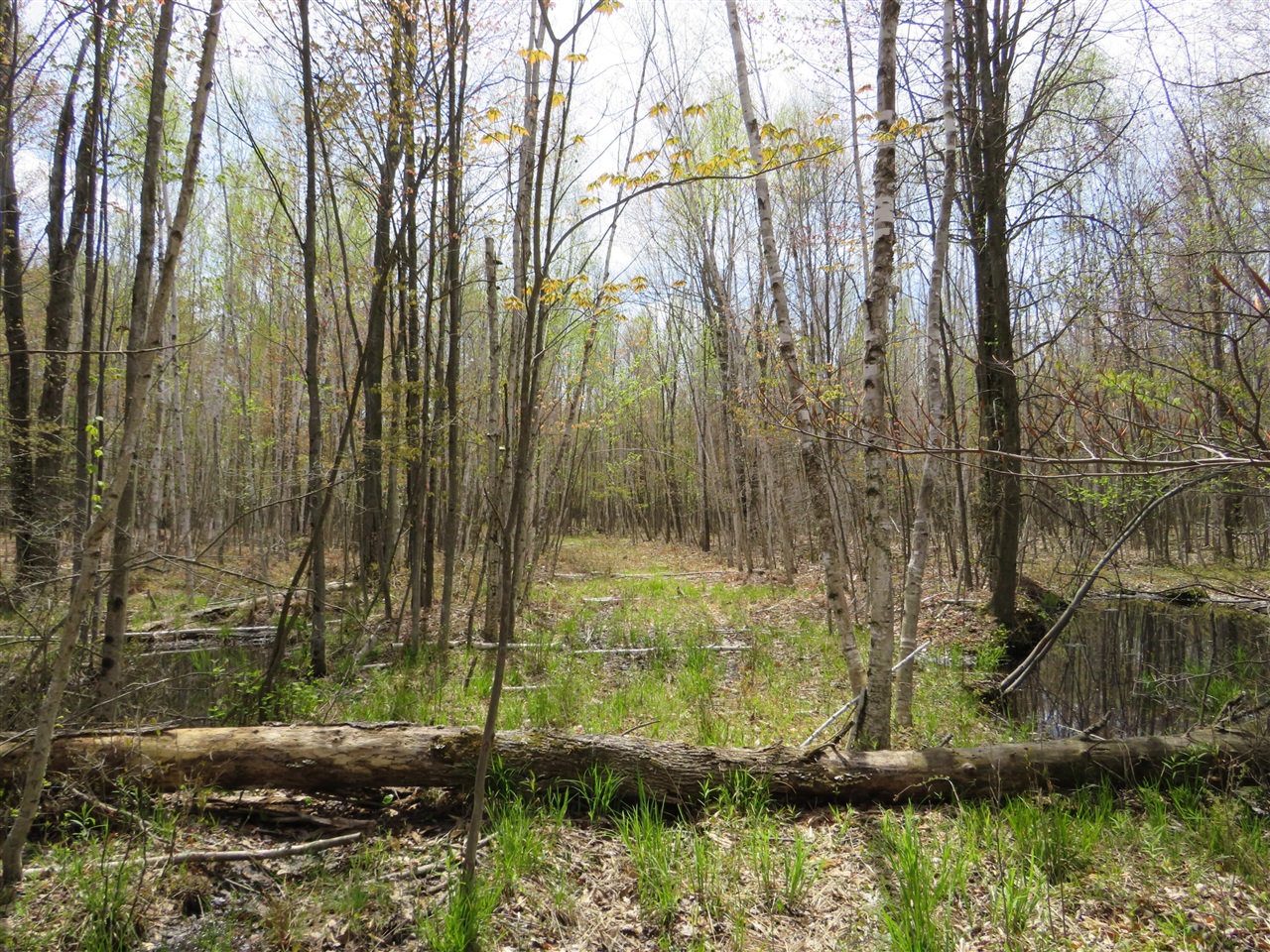 N Chippewa Road Property Photo 10