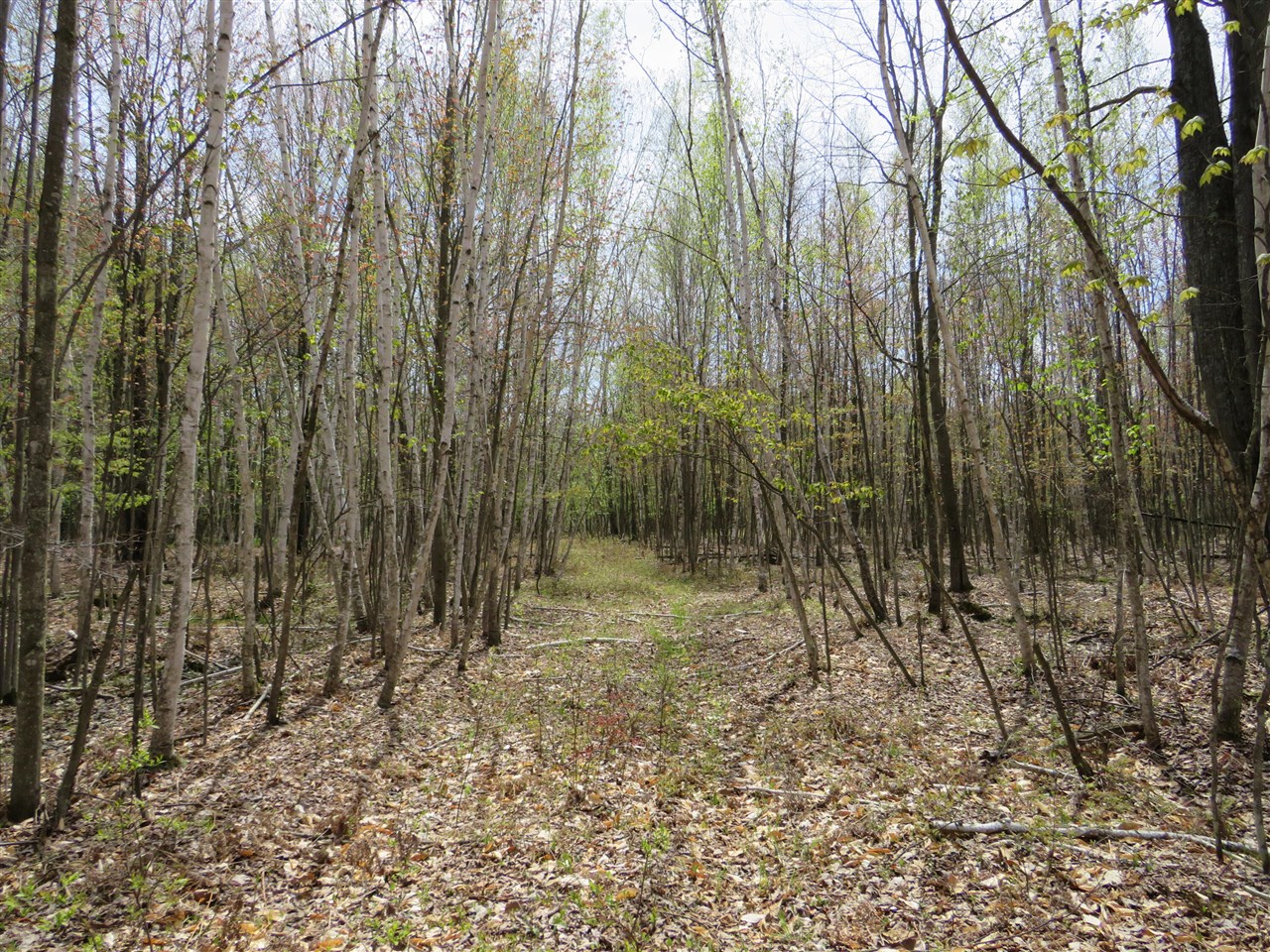 N Chippewa Road Property Photo 11