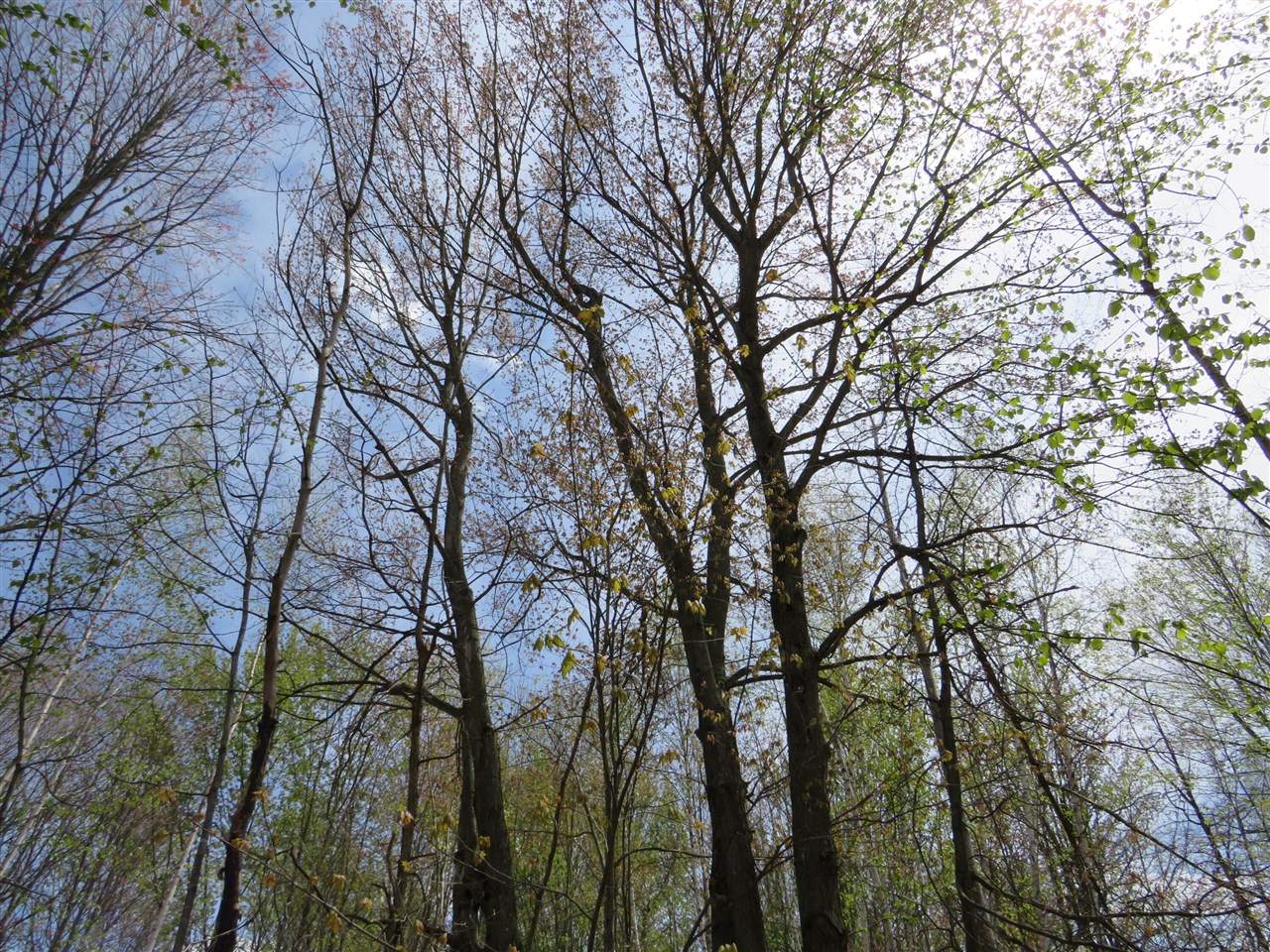 N Chippewa Road Property Photo 12