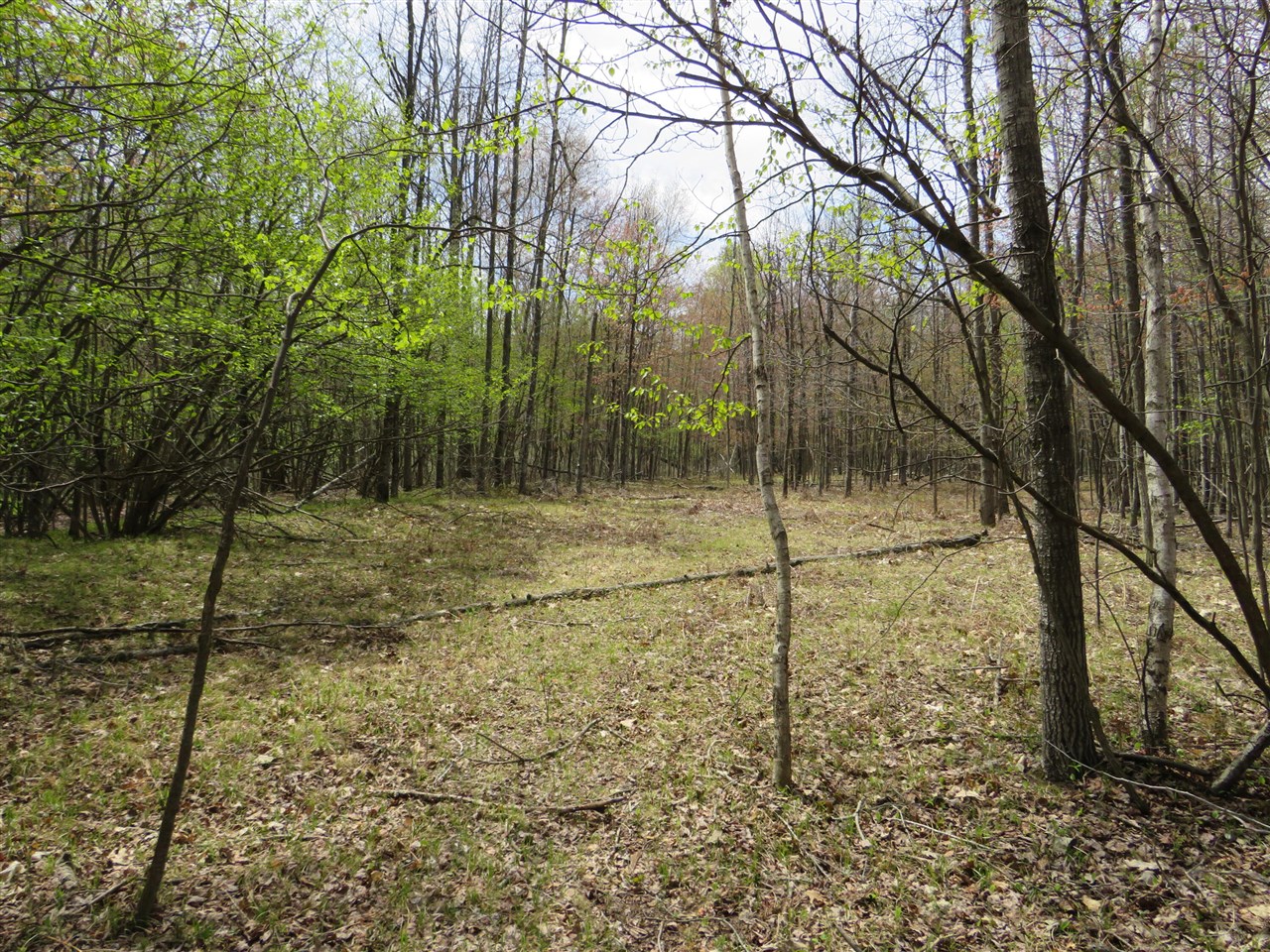 N Chippewa Road Property Photo 13
