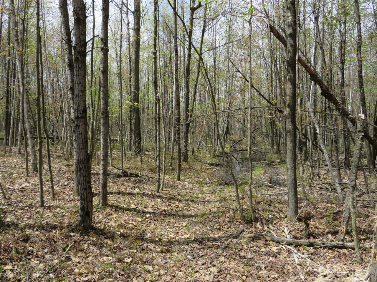 N Chippewa Road Property Photo 14