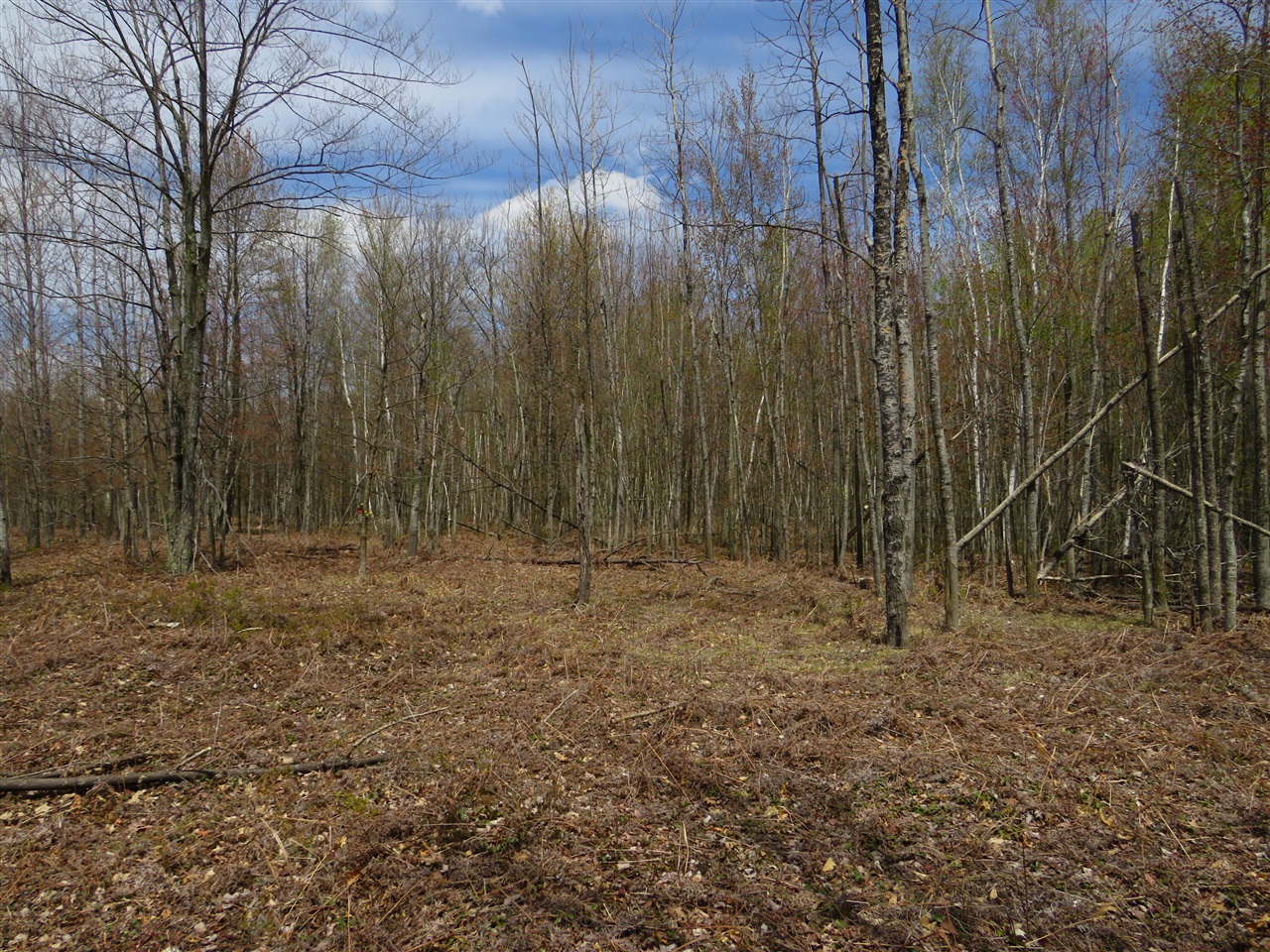N Chippewa Road Property Photo 15