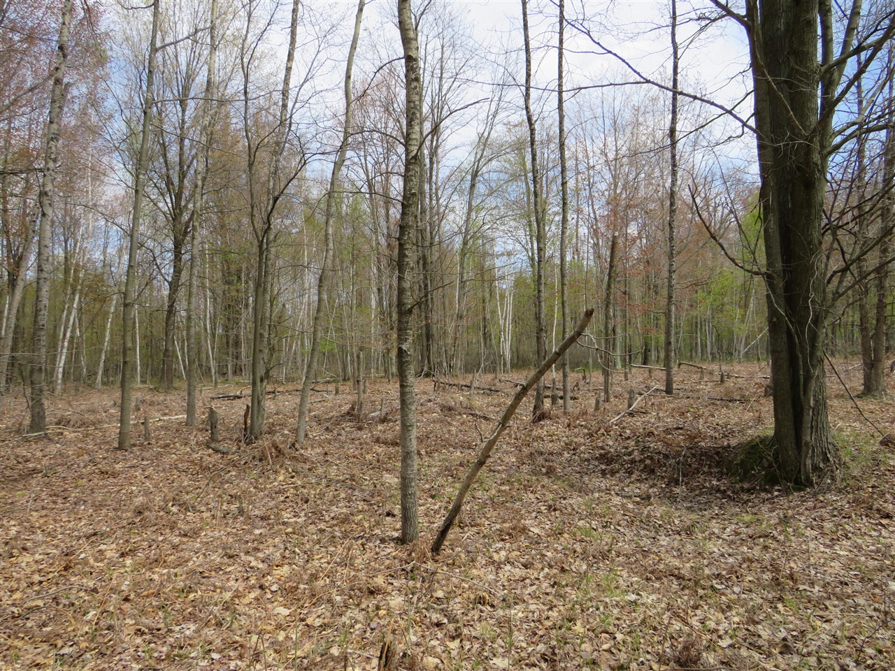 N Chippewa Road Property Photo 17