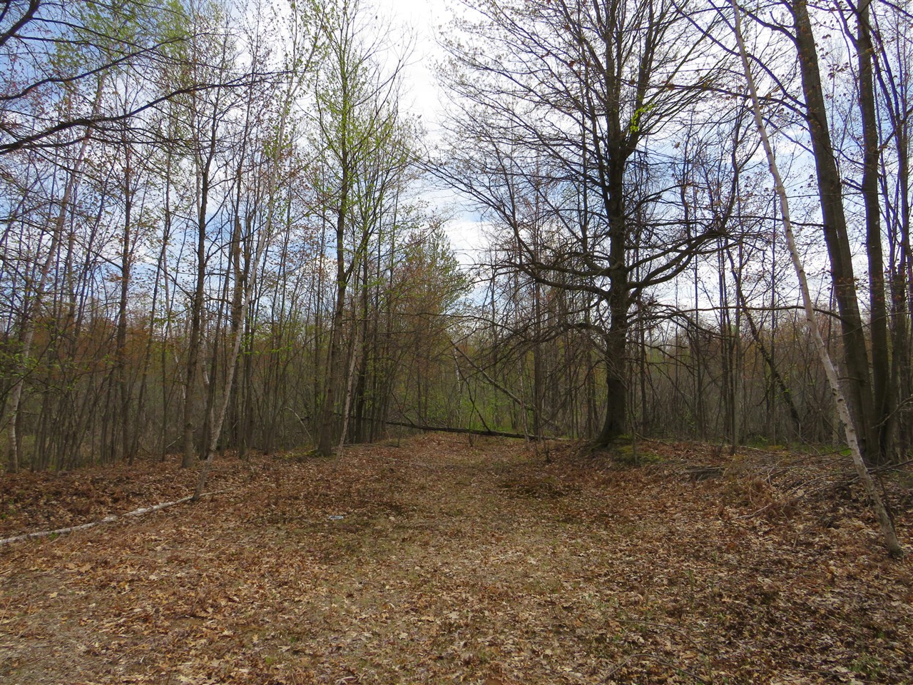 N Chippewa Road Property Photo 18