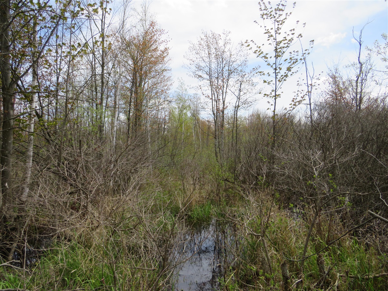 N Chippewa Road Property Photo 19