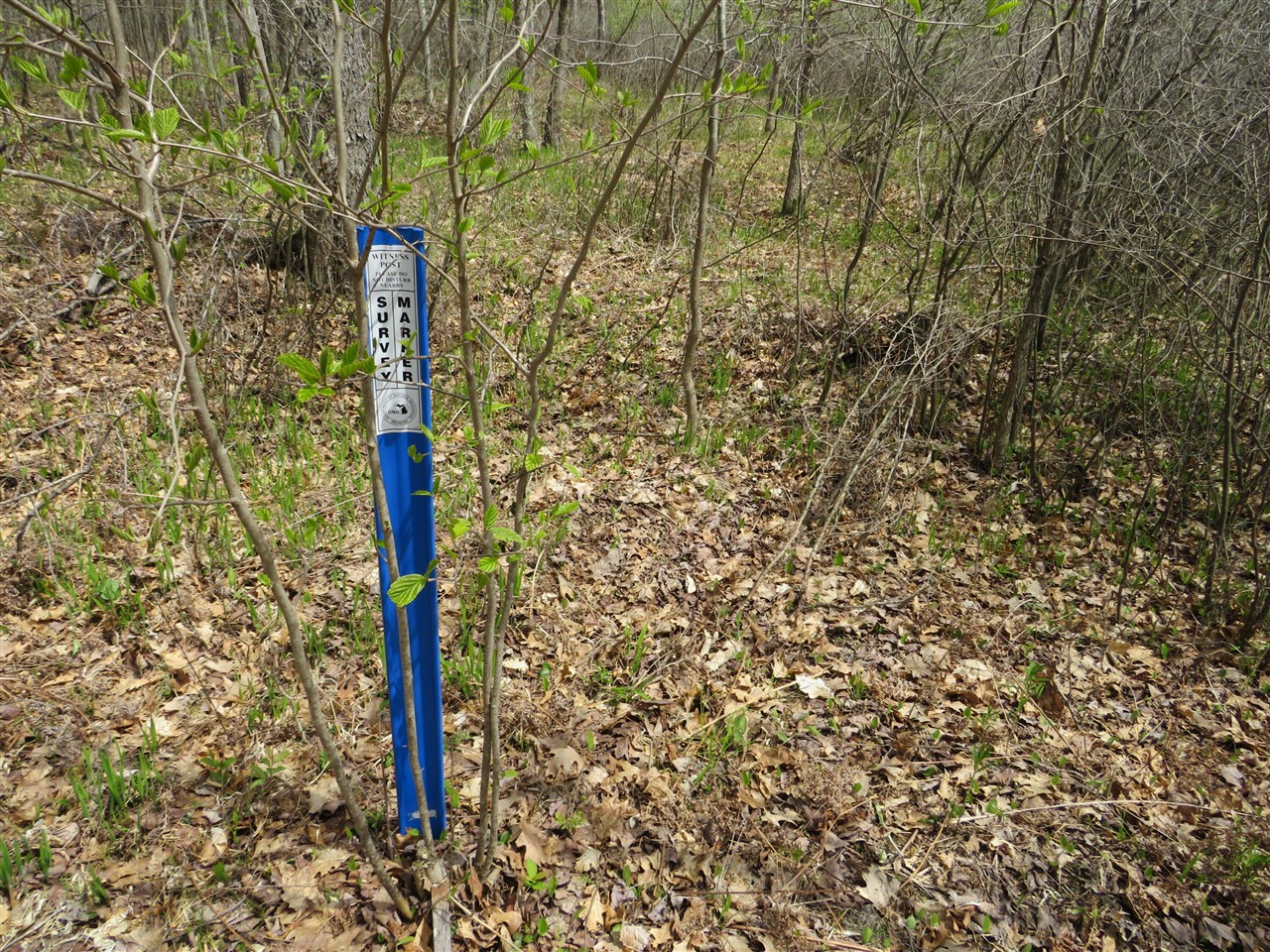 N Chippewa Road Property Photo 20
