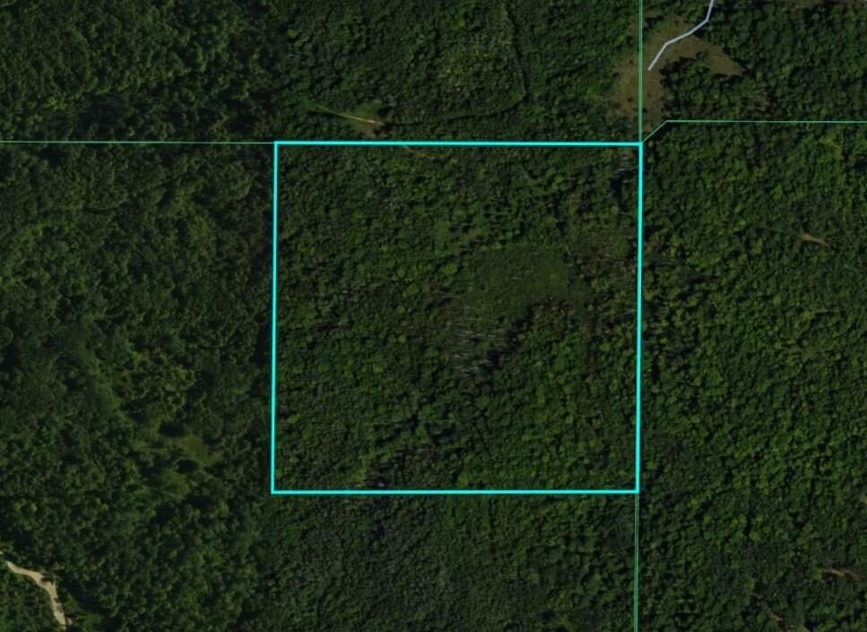N Chippewa Road Property Photo 25