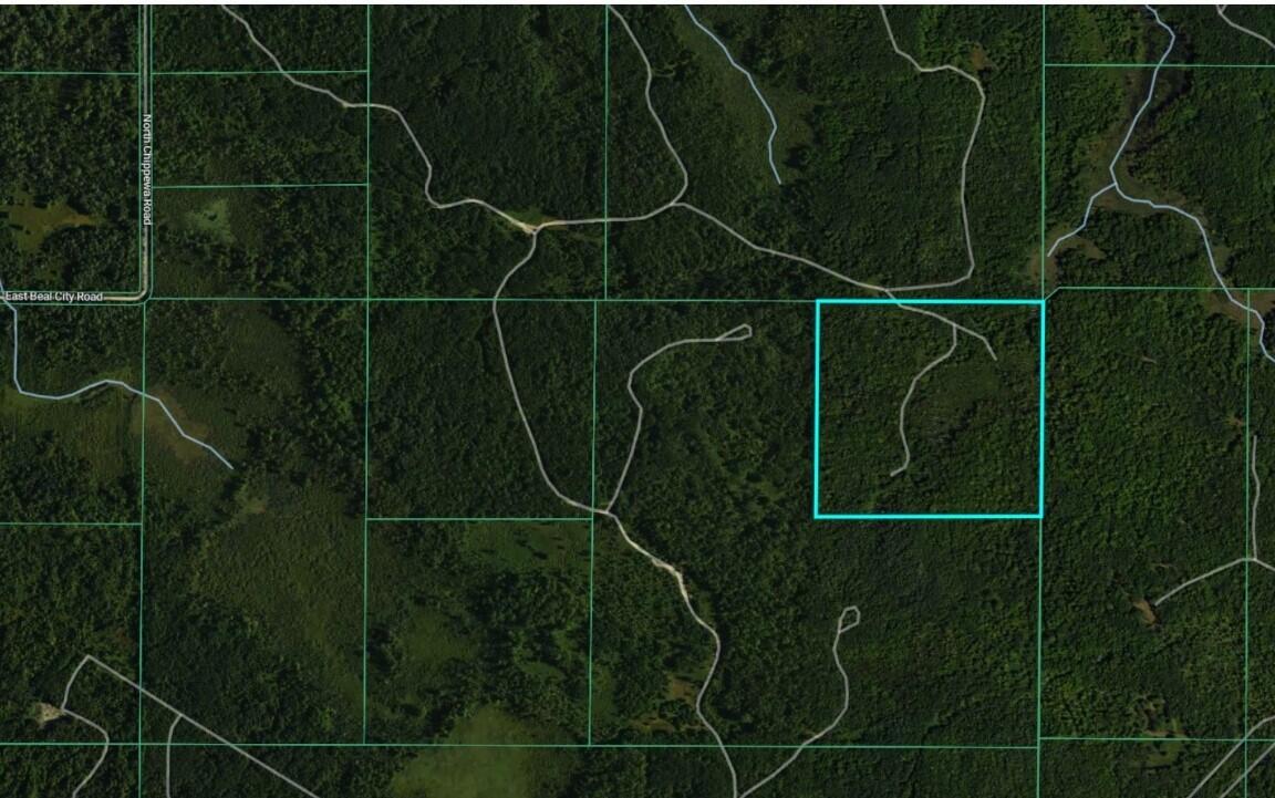 N Chippewa Road Property Photo 26
