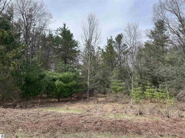 00 Mackinaw Trail Property Photo 4