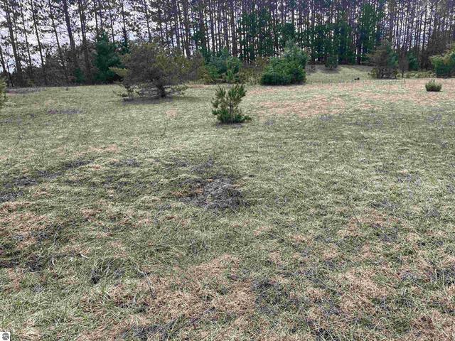 00 Mackinaw Trail Property Photo 5