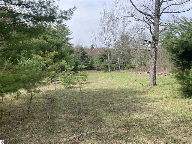 00 Mackinaw Trail Property Photo 7