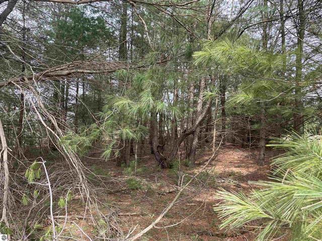 00 Mackinaw Trail Property Photo 8