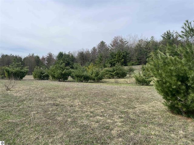 00 Mackinaw Trail Property Photo 15