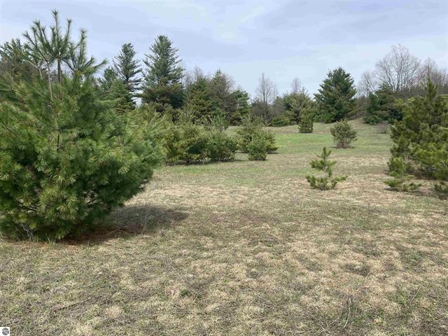 00 Mackinaw Trail Property Photo 16