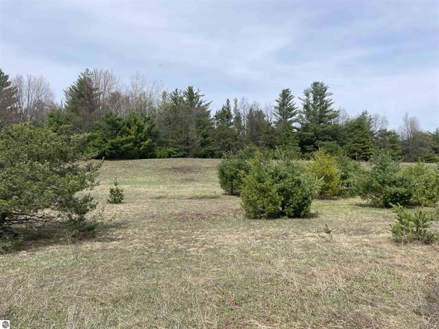 00 Mackinaw Trail Property Photo 19